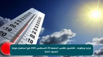 حرارة ورطوبة.. تفاصيل طقس الجمعة 29 أغسطس 2025 مع استمرار موجة الصيف الحارّ